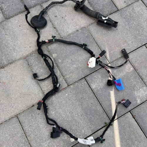 Проводка для дверей задніх лівих 11G970403