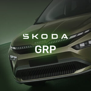 Skoda Grp Online Доступ